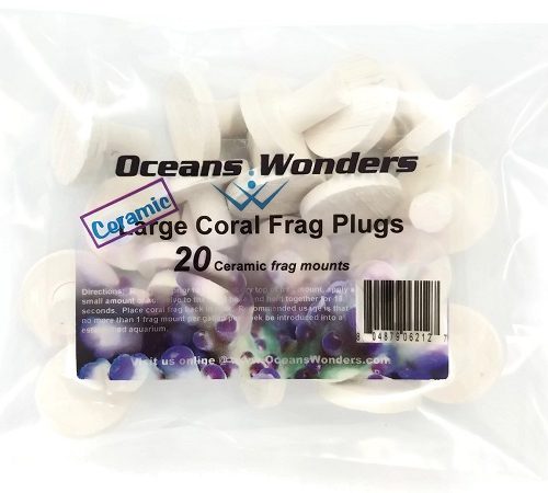 Large Coral Frag Plugs Oceans Wonders
