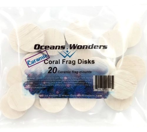 Coral Frag Disk Oceans Wonders