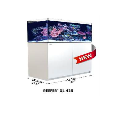 Reefer XL-425 Red Sea