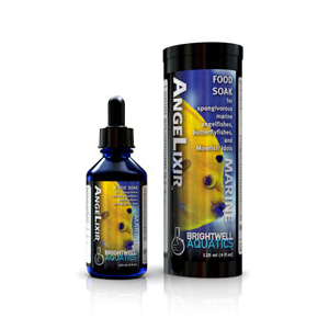 Angel Lixir Brightwell Aquatics