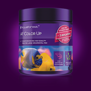 Color Up Aquaforest