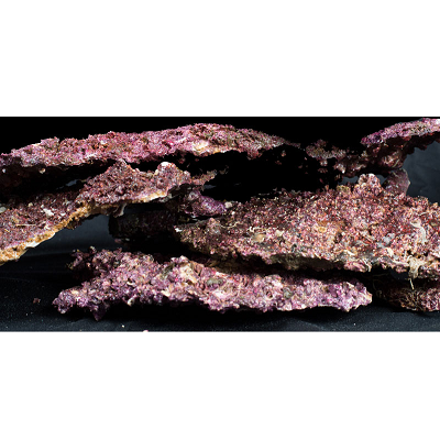 Roca Artificial Talla "PLATO"(Caja 25-28kilos) Real Reef Rock
