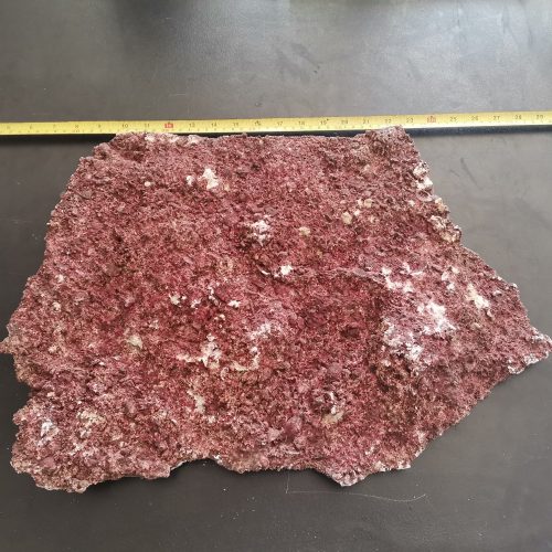Real Reef Rock Plato 5,5kg