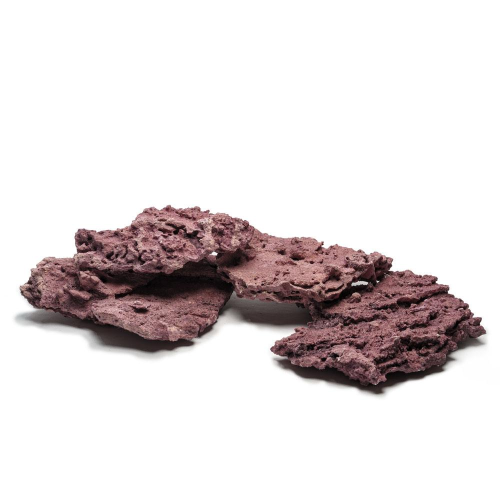 Marco Rock Coralline Premium Shelf D-D