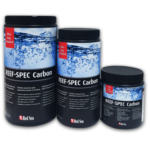 Carbón Reef Spec Red Sea