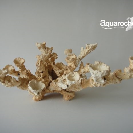 Acroporock Conjunto(9710)