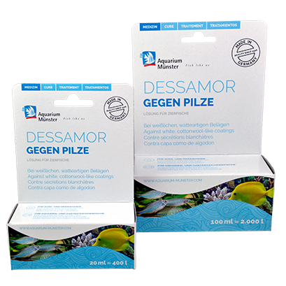 Dessamor Aquarium Münster