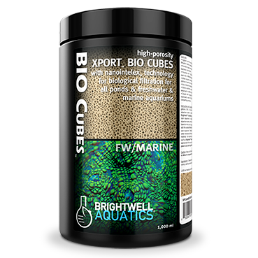 Xport Bio-Cubes Brightwell