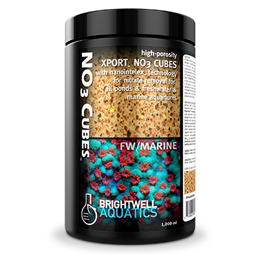 Xport NO3-Cubes Brightwell