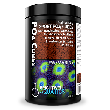 Xport PO4-Cubes Brightwell
