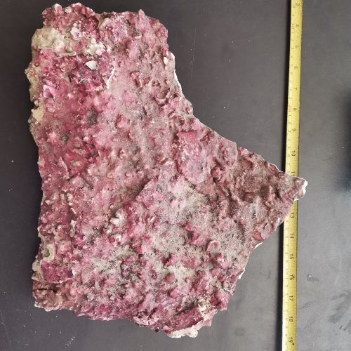 Real Reef Rock Plato 2,8Kg