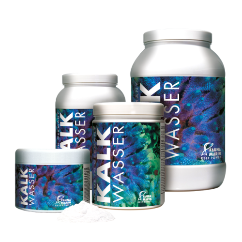 Kalkwasser Fauna Marin