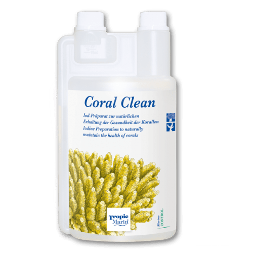 Coral Clean Tropic Marin