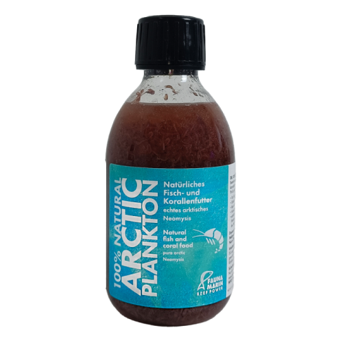 Arctic Plankton Fauna Marin