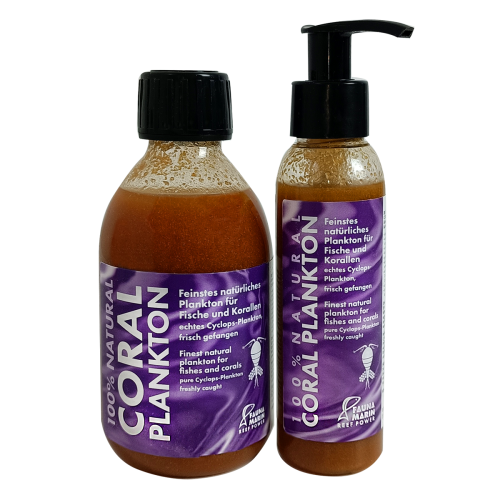 Coral Plankton Fauna Marin