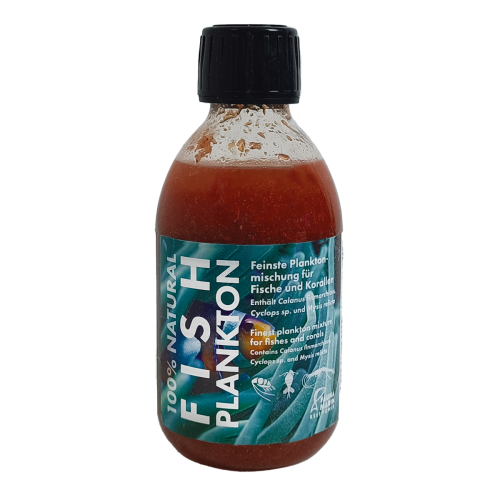 Fish Plankton Fauna Marin