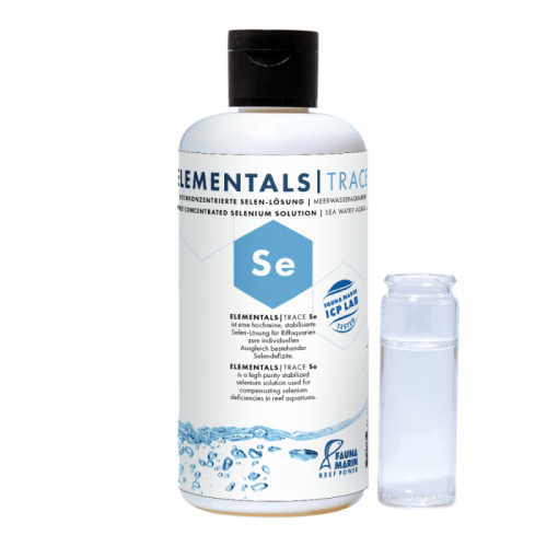 Elementals Se Fauna Marin
