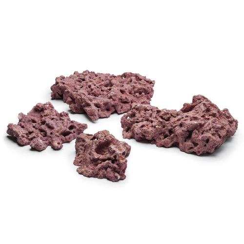 Marco Rock Coralline Foundation D-D