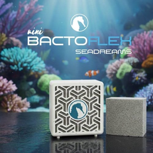BactoFlex + BactoBox  Mini  Seadreams
