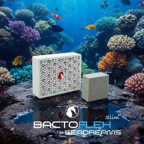 BactoFlex + BactoBox Slim Seadreams